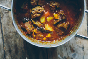 venison rogan josh